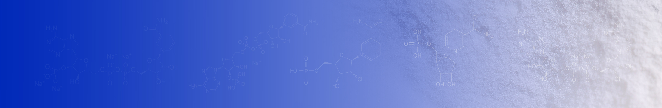 Professional Supplier of Raw Materials for Coenzymes and Natural Products