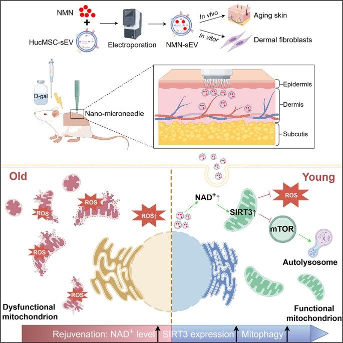 1764557967.png 1764557967.png