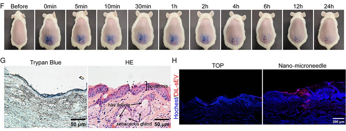 1764558011.png 1764558011.png