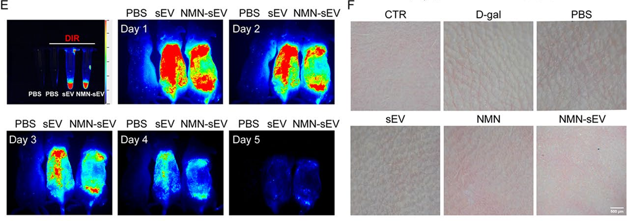 1764558084.png 1764558084.png