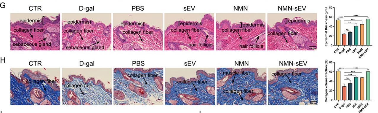 1764558142.png 1764558142.png