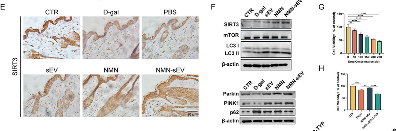 1764558205.png 1764558205.png