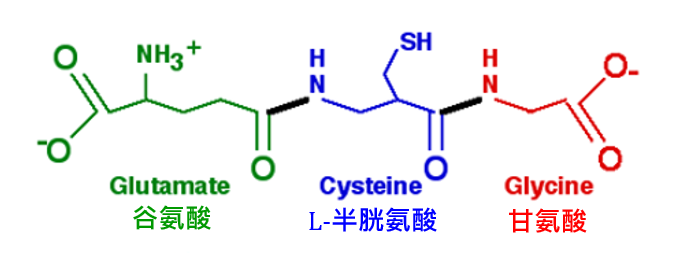 1765160115.png 1765160115.png