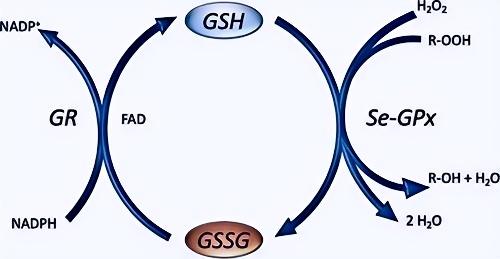 1765160213.jpg 1765160213.jpg